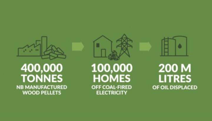 全球48%的木屑顆粒消費(fèi)來自住宅和商業(yè)建筑。從2020年到2021年，歐洲家庭生物質(zhì)消費(fèi)量增長了18%，商業(yè)應(yīng)用增長了12.5%。